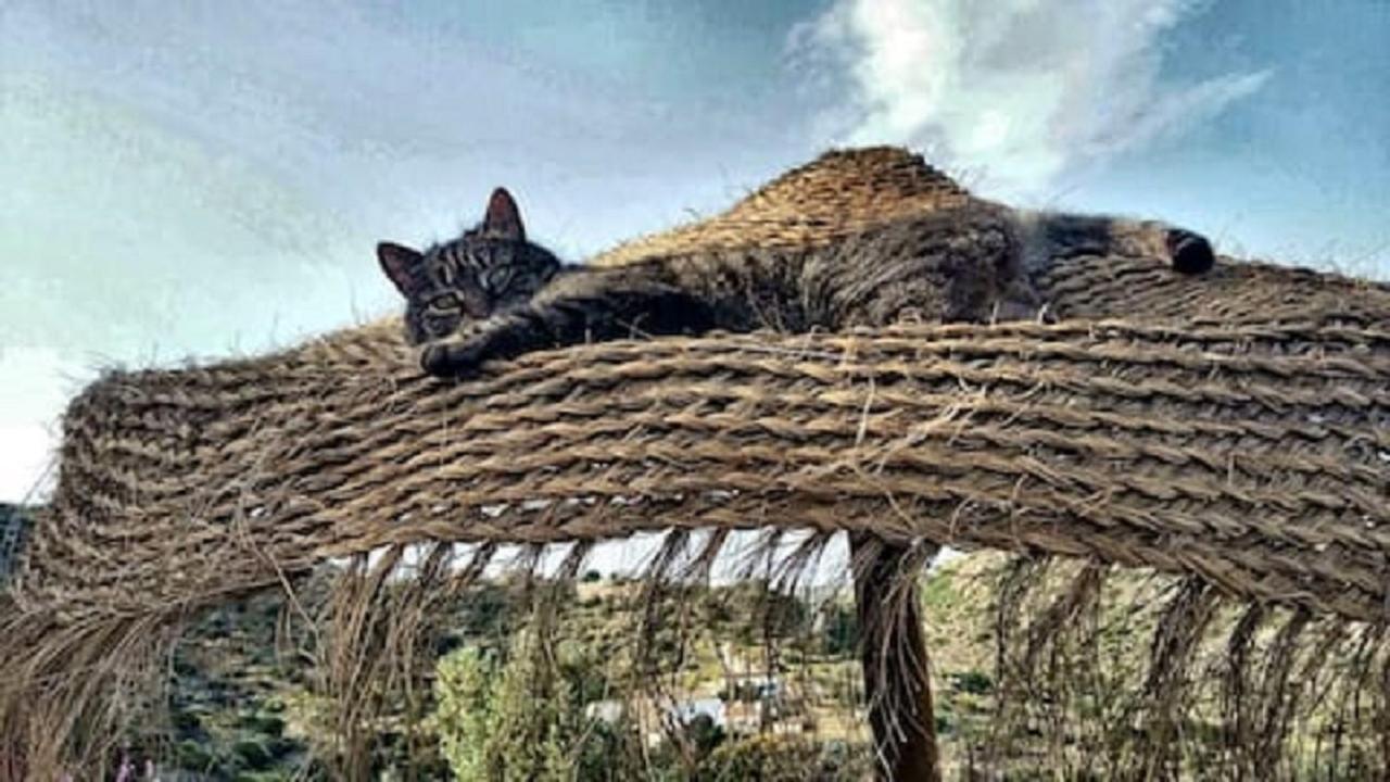 مبيت وإفطار Sorbas Bed & Breakfast Alegria Y Luna المظهر الخارجي الصورة